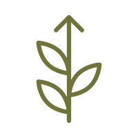 icon2